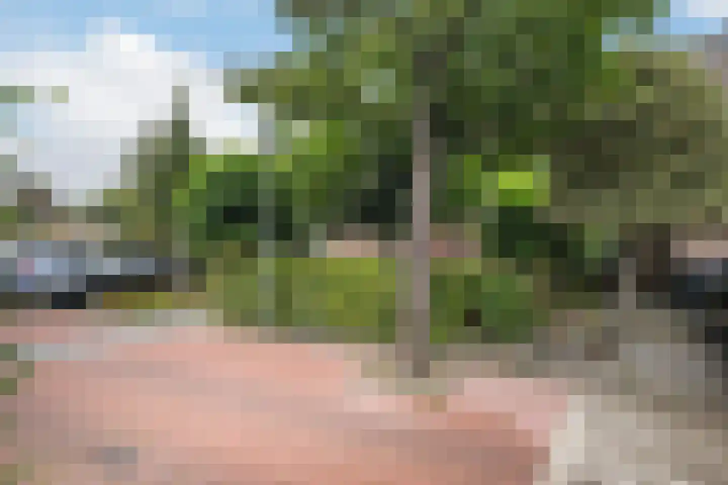 Lindendreef 1 Vlaardingen thumbnail 17