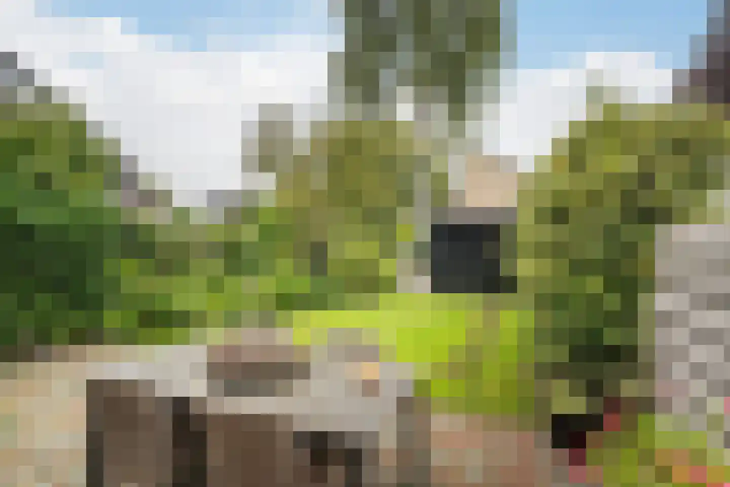 Lindendreef 1 Vlaardingen thumbnail 35
