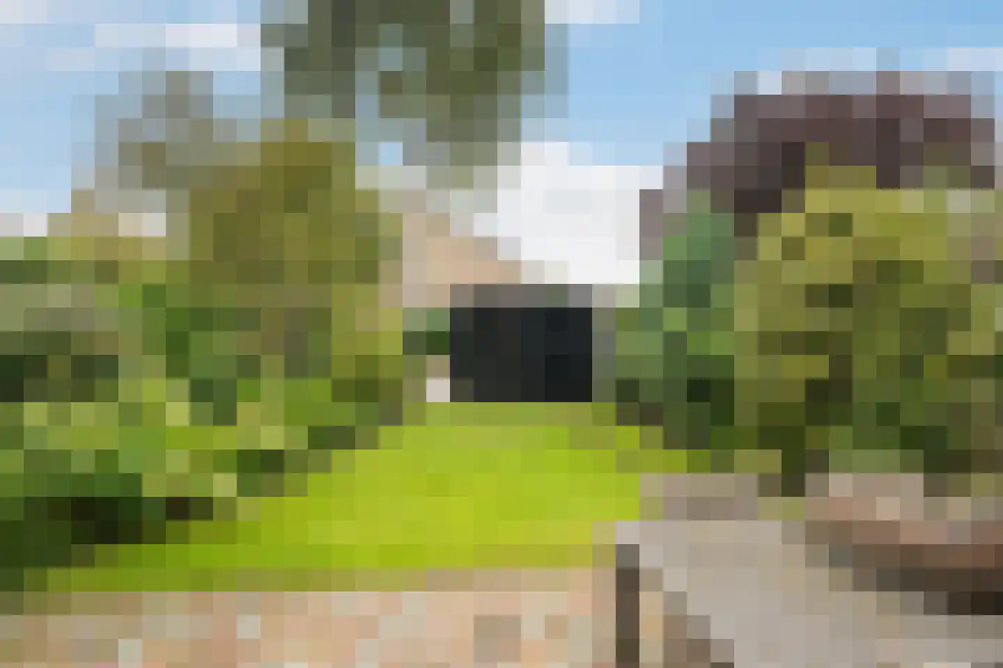 Lindendreef 1 Vlaardingen thumbnail 36
