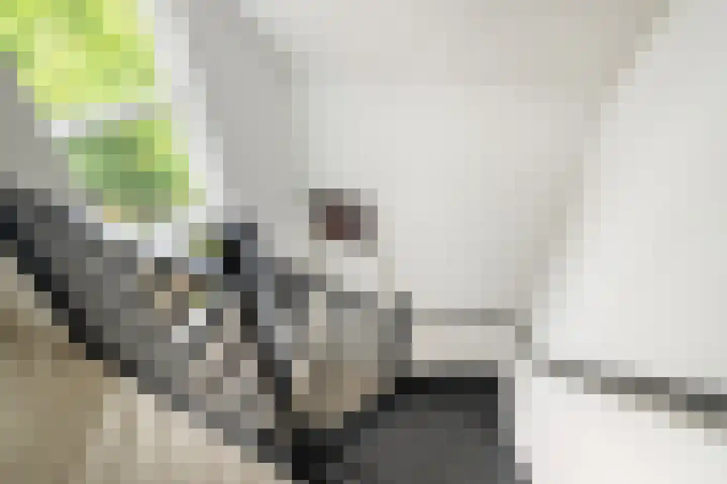 Lindendreef 1 Vlaardingen thumbnail 39
