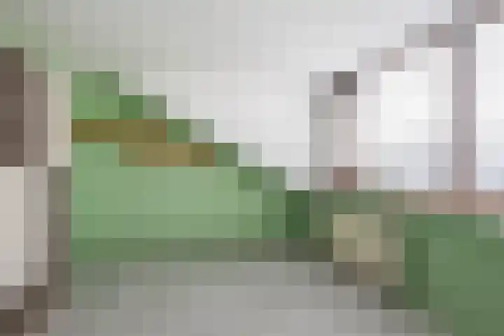 Lindendreef 113 Vlaardingen thumbnail 21