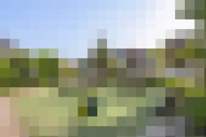 Lindendreef 113 Vlaardingen thumbnail 26