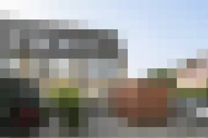 Lindendreef 113 Vlaardingen thumbnail 32