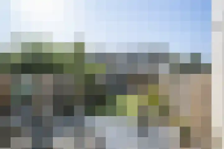 Lindendreef 113 Vlaardingen thumbnail 4