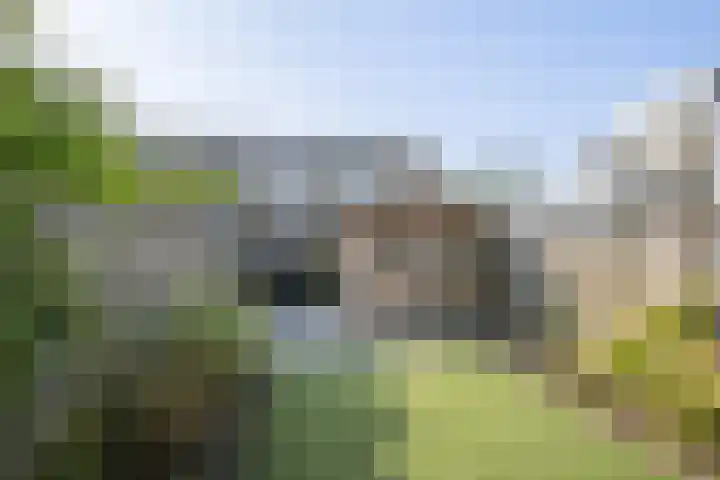 Lindendreef 113 Vlaardingen thumbnail 5