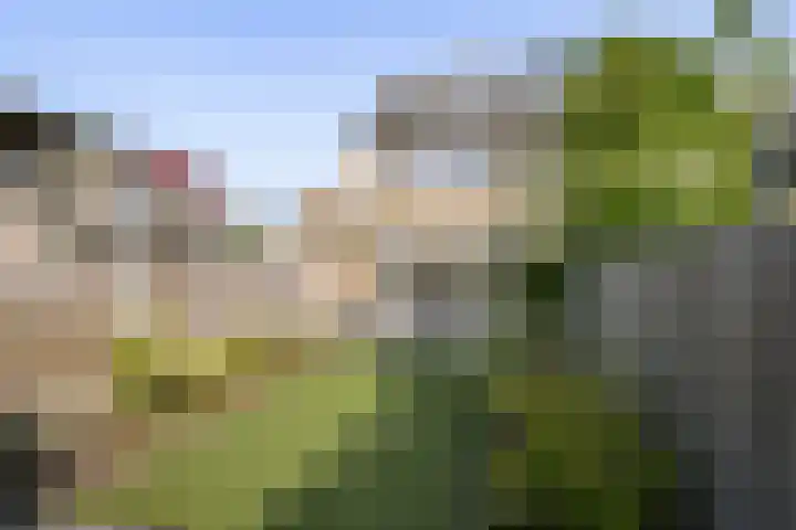 Lindendreef 113 Vlaardingen thumbnail 6