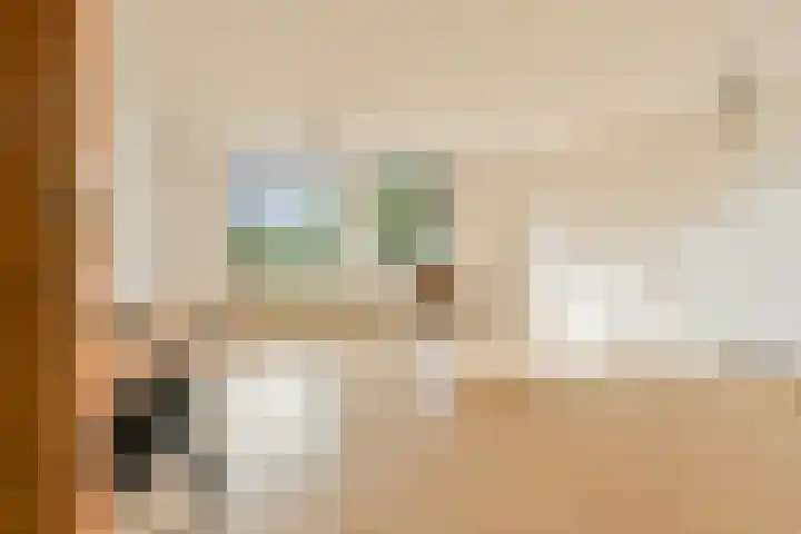 Lindendreef 73 Vlaardingen thumbnail 10