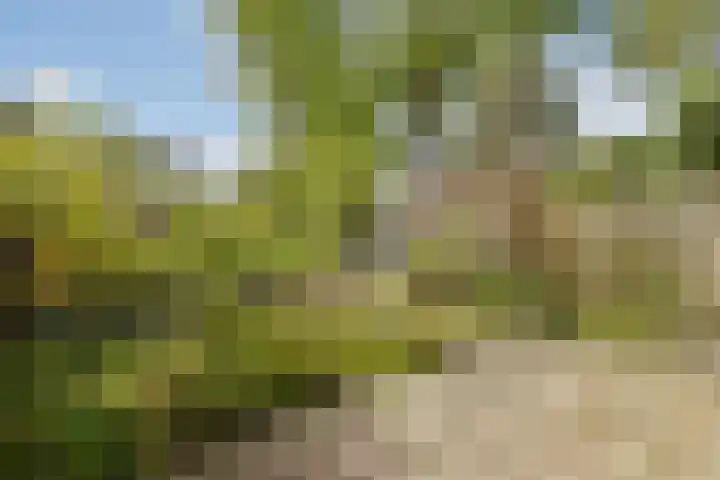 Lindendreef 73 Vlaardingen thumbnail 11