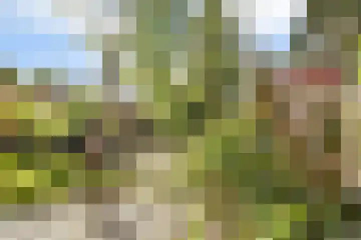 Lindendreef 73 Vlaardingen thumbnail 12