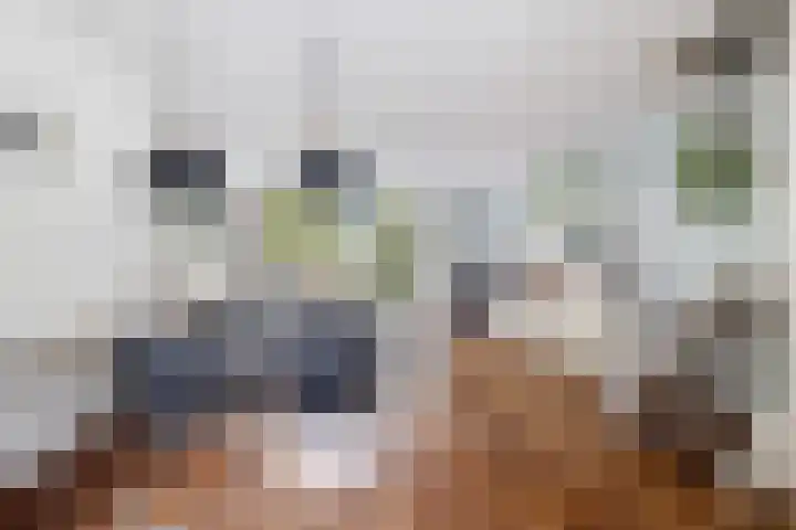 Lindendreef 8 Vlaardingen thumbnail 10