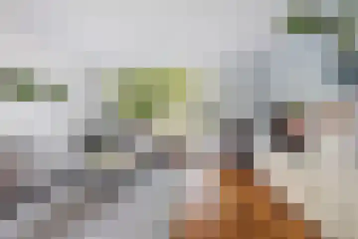 Lindendreef 8 Vlaardingen thumbnail 11