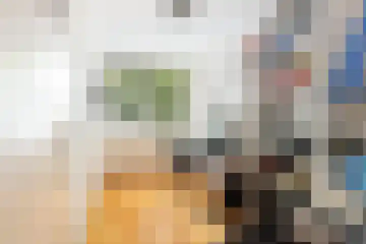 Lindendreef 8 Vlaardingen thumbnail 22