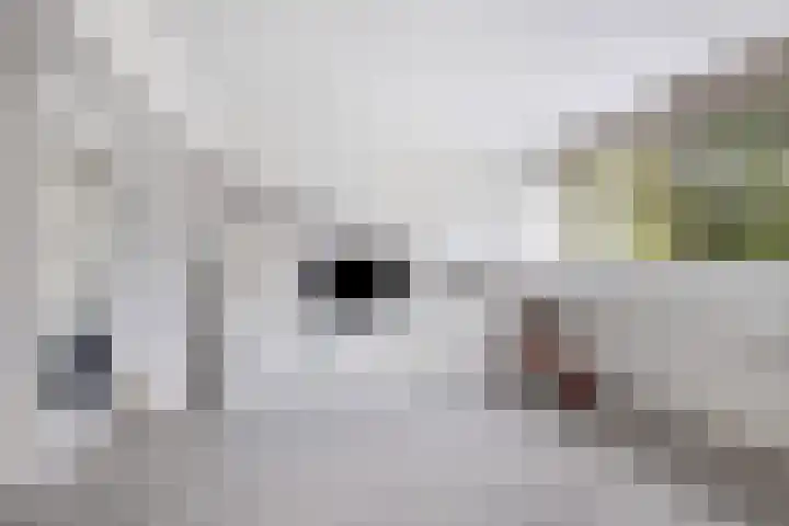 Lindendreef 8 Vlaardingen thumbnail 28