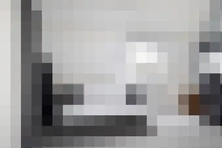 Lindendreef 8 Vlaardingen thumbnail 30