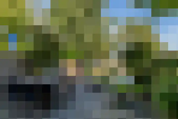 Lindendreef 8 Vlaardingen thumbnail 34