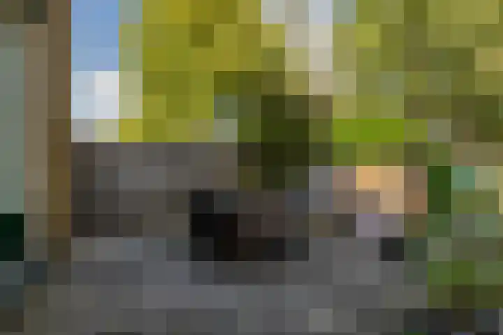 Lindendreef 8 Vlaardingen thumbnail 35