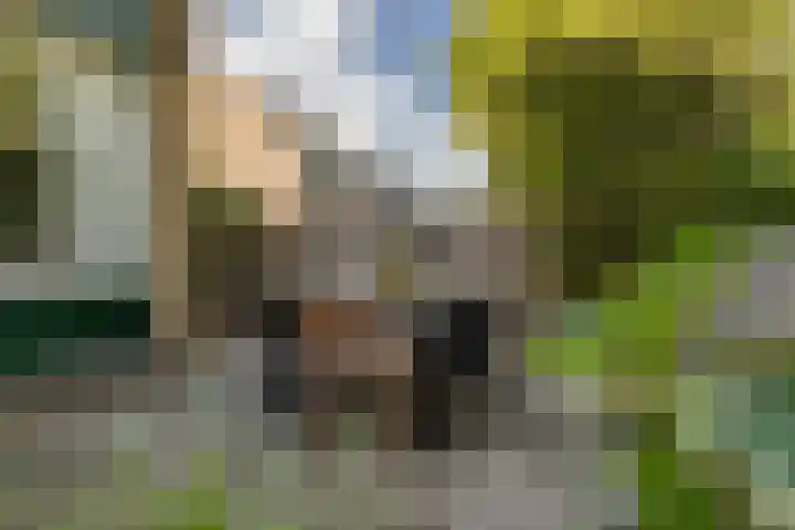Lindendreef 8 Vlaardingen thumbnail 36