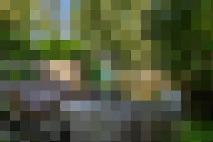 Lindendreef 8 Vlaardingen thumbnail 37