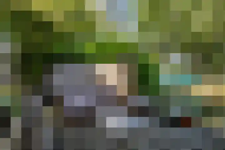 Lindendreef 8 Vlaardingen thumbnail 38