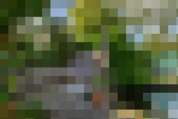 Lindendreef 8 Vlaardingen thumbnail 39