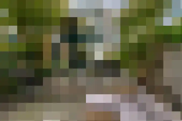 Lindendreef 8 Vlaardingen thumbnail 4