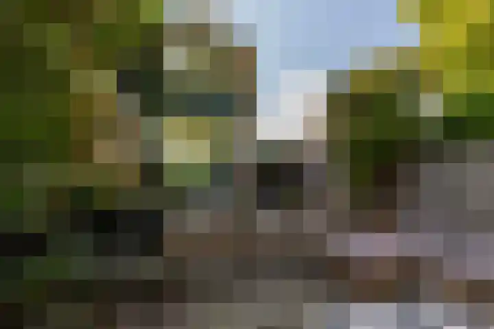 Lindendreef 8 Vlaardingen thumbnail 40