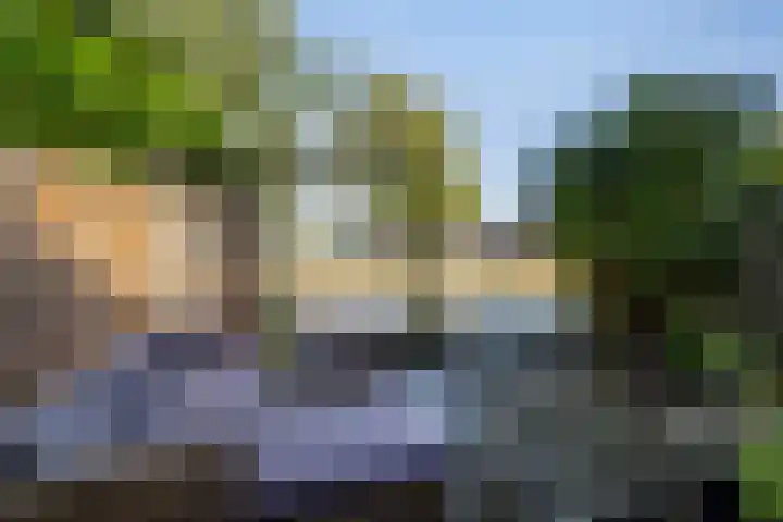 Lindendreef 8 Vlaardingen thumbnail 42