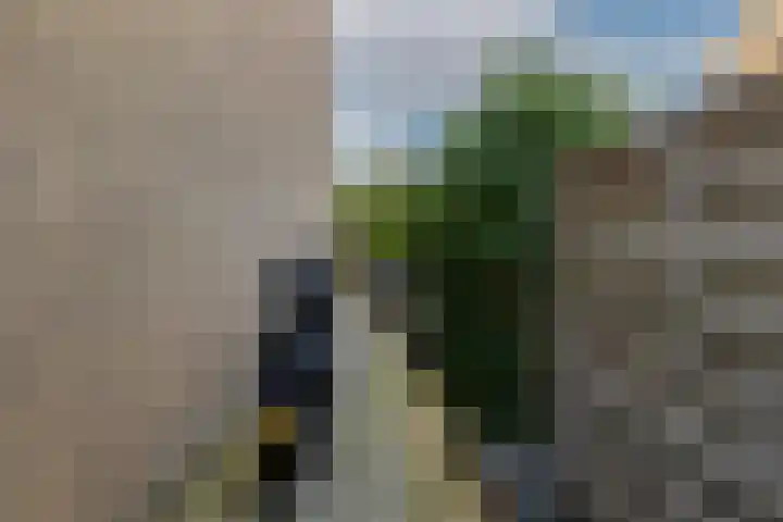 Lindendreef 8 Vlaardingen thumbnail 43