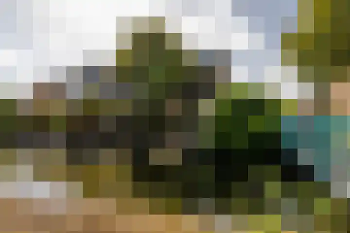 Lindendreef 8 Vlaardingen thumbnail 45