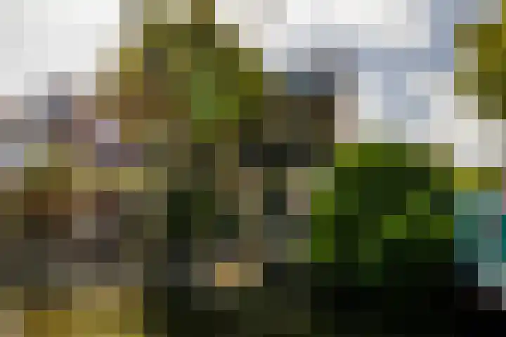 Lindendreef 8 Vlaardingen thumbnail 46