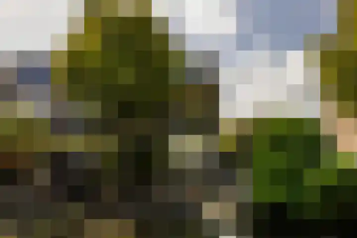 Lindendreef 8 Vlaardingen thumbnail 47