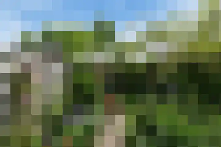 Lindendreef 9 Bleiswijk thumbnail 14