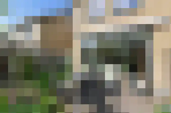Lindendreef 9 Bleiswijk thumbnail 15