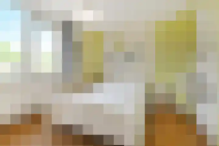 Lindendreef 9 Bleiswijk thumbnail 36