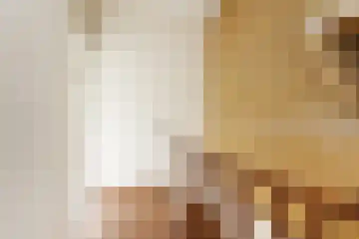 Lindendreef 9 Bleiswijk thumbnail 38