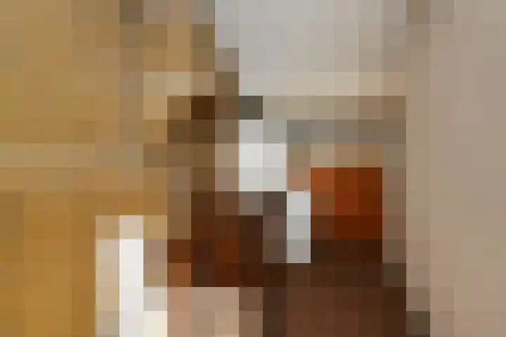 Lindendreef 9 Bleiswijk thumbnail 39
