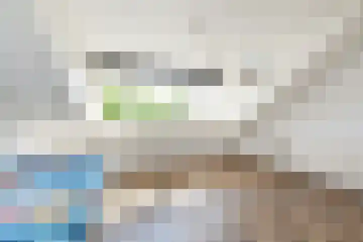 Lindendreef 9 Bleiswijk thumbnail 40