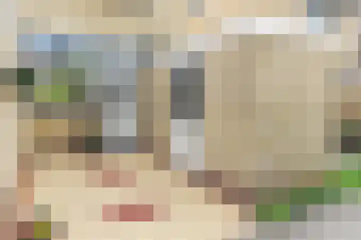 Lindendreef 9 Bleiswijk thumbnail 6