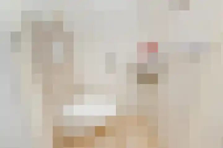 Lindendreef 9 Bleiswijk thumbnail 8