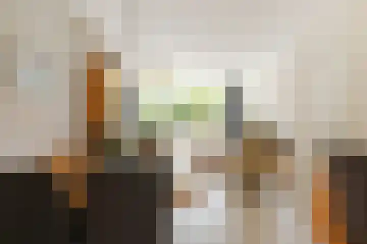 Lindendreef 9 Bleiswijk thumbnail 9