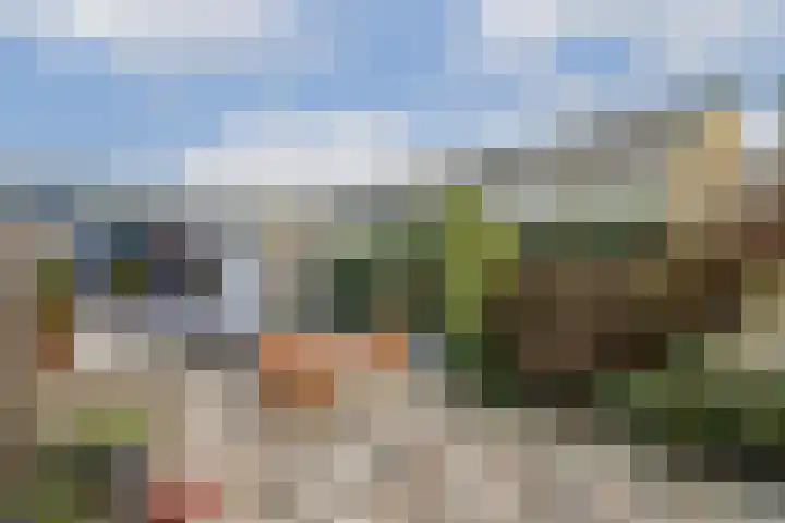 Lindendreef 91 Vlaardingen thumbnail 14