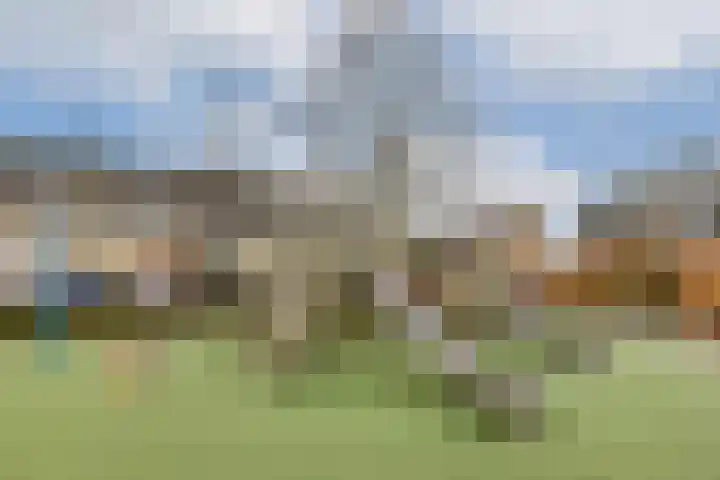 Lindendreef 91 Vlaardingen thumbnail 27