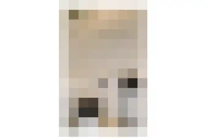 Lindendreef 91 Vlaardingen thumbnail 8