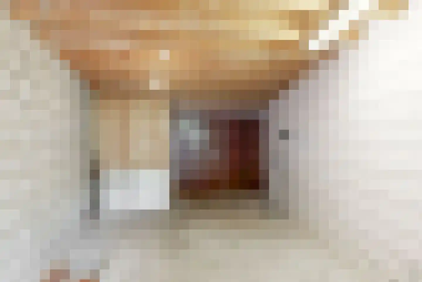 Lindendriesstraat 39 Elsloo thumbnail 21