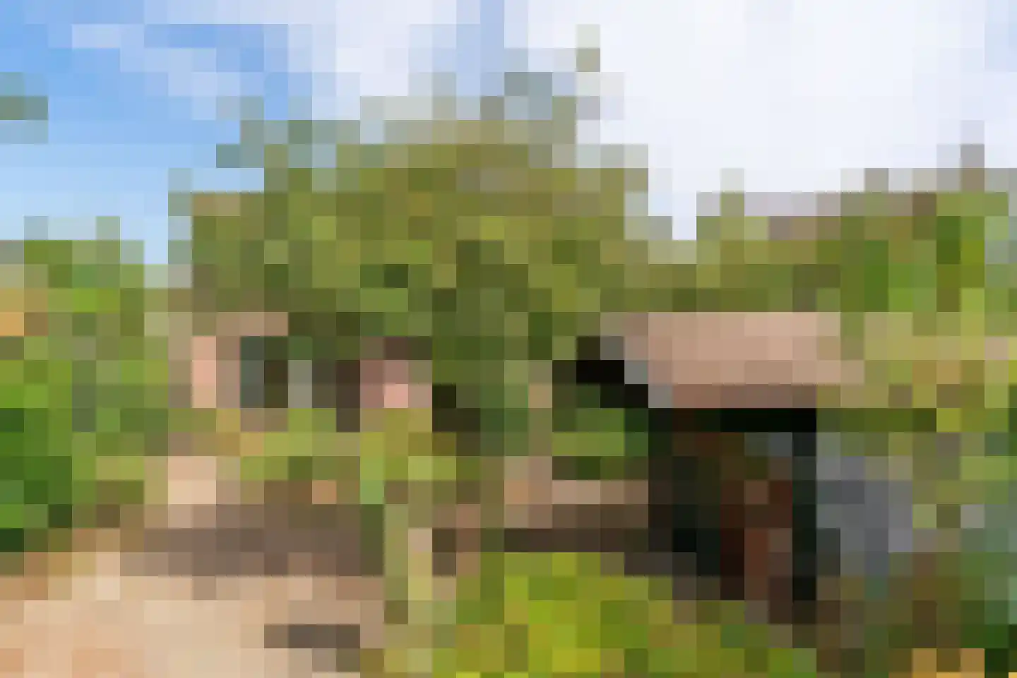 Lindendriesstraat 39 Elsloo thumbnail 38