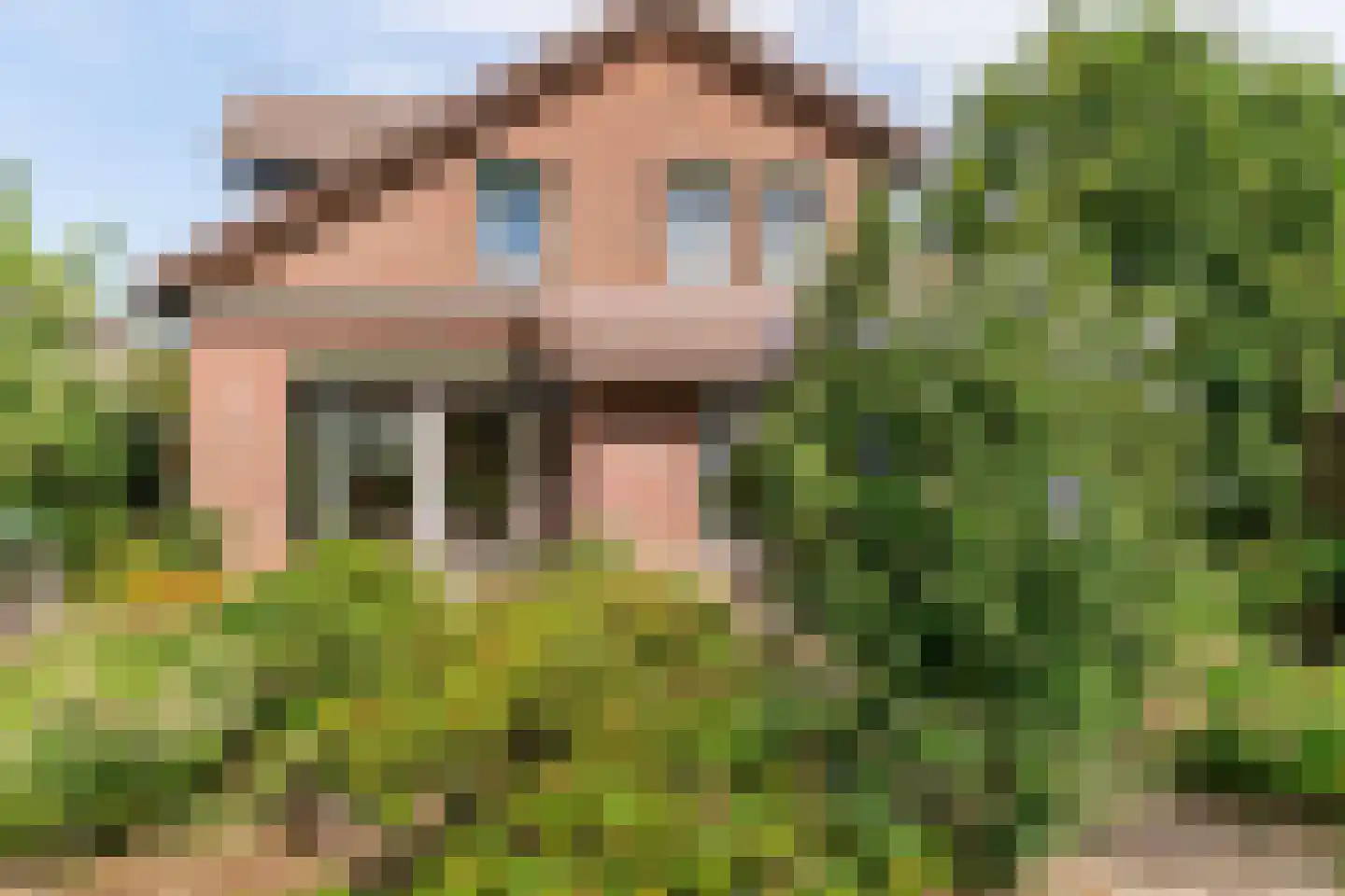 Lindendriesstraat 39 Elsloo thumbnail 39