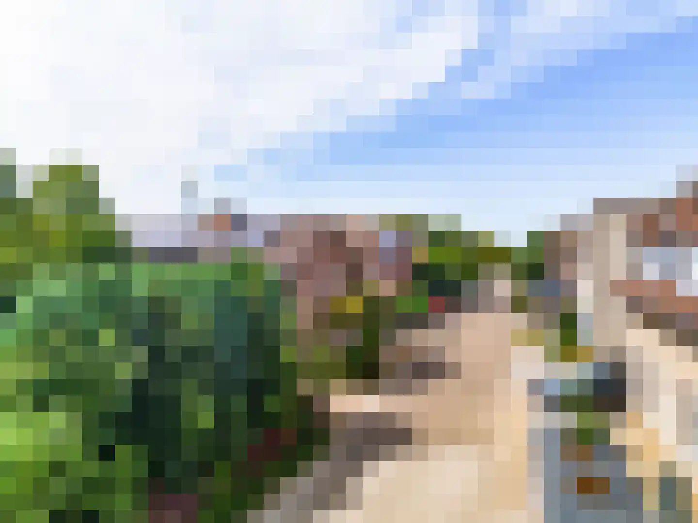 Lindendriesstraat 39 Elsloo thumbnail 40