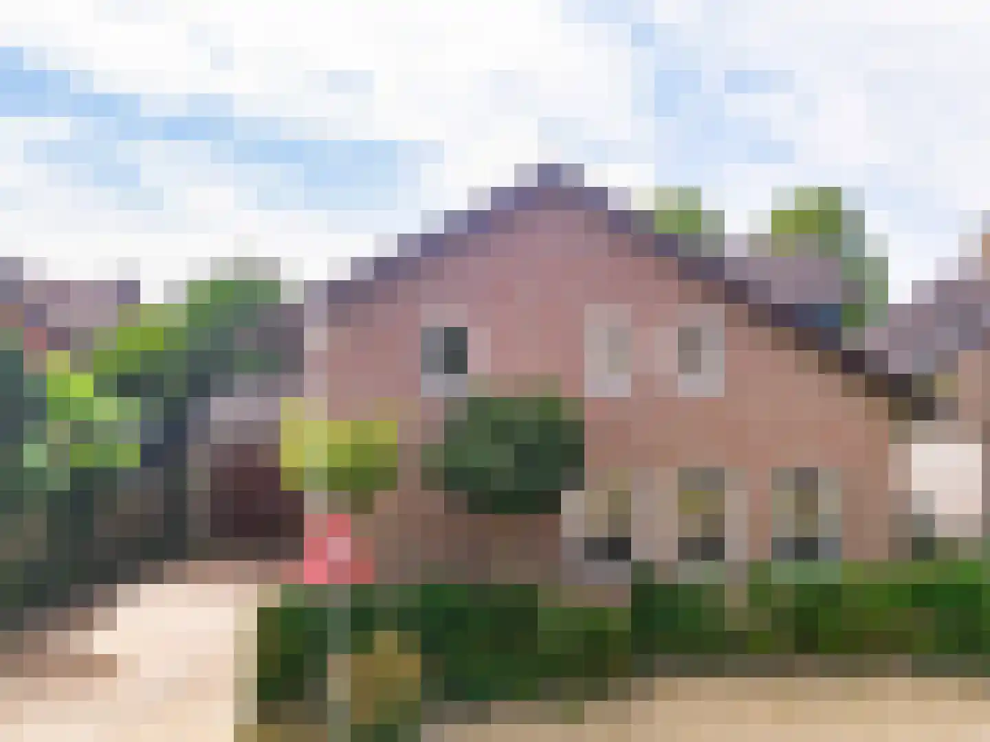 Lindendriesstraat 39 Elsloo thumbnail 43