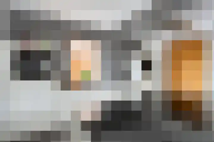 Lindendriesstraat 44 Stein thumbnail 19