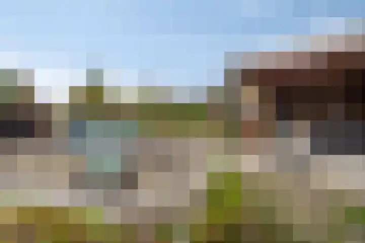 Lindendriesstraat 44 Stein thumbnail 7